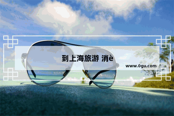 到上海旅游 消费高吗