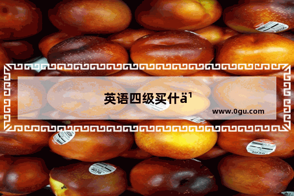英语四级买什么词汇书好