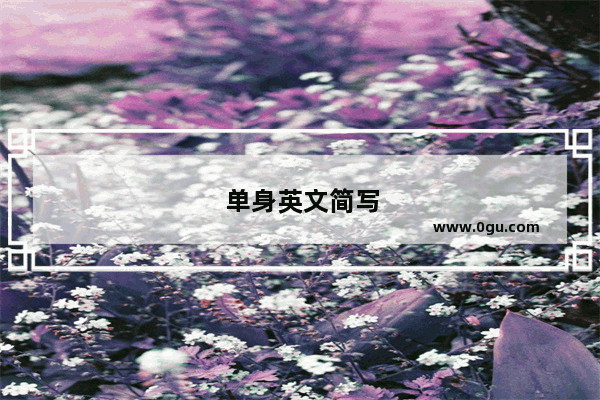 单身英文简写