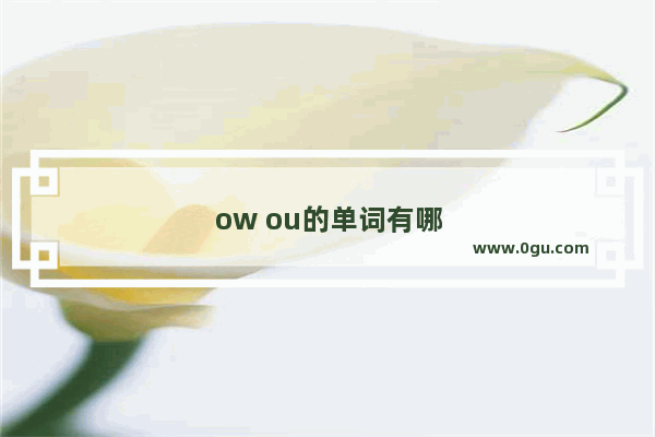 ow ou的单词有哪些