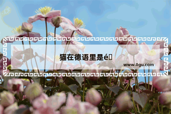 猫在德语里是阴性还是阳性