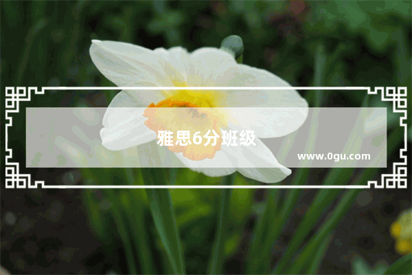 雅思6分班级