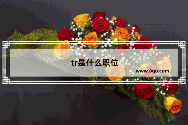 tr是什么职位