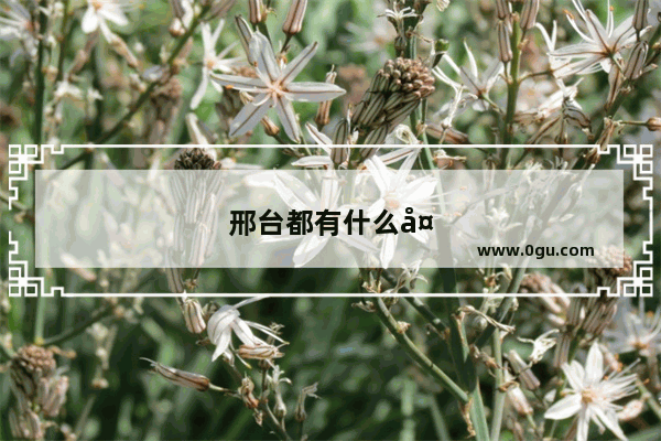 邢台都有什么大学