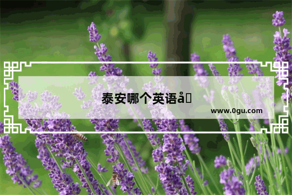 泰安哪个英语培训班最好