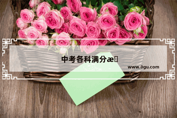 中考各科满分是多少