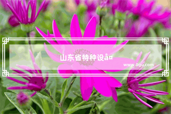 山东省特种设备作业人员模拟考试系统照使用手册填写的帐号怎么进不去