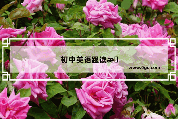 初中英语跟读机有必要买吗