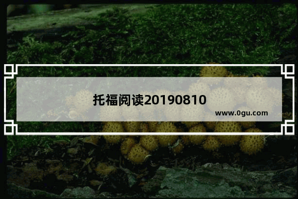 托福阅读20190810