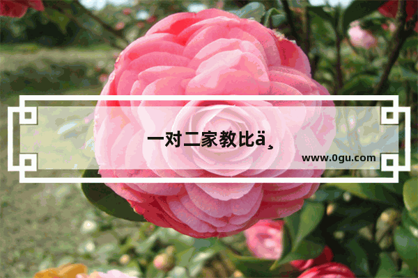 一对二家教比一对一费用高吗