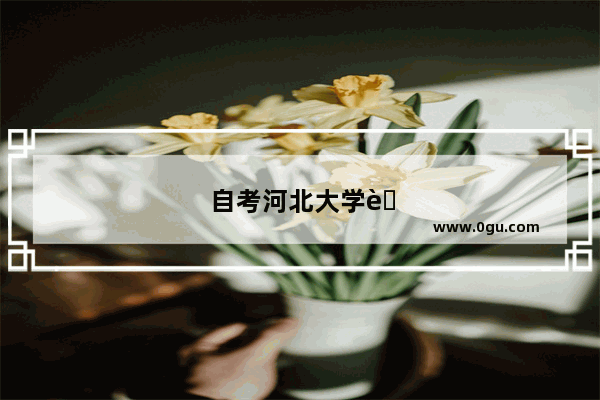 自考河北大学英语四级难吗知乎