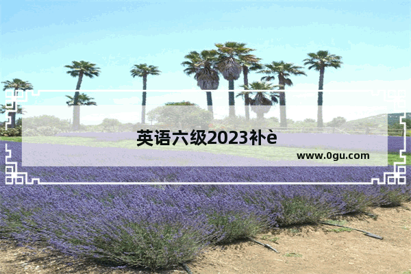 英语六级2023补考成绩什么时候出来