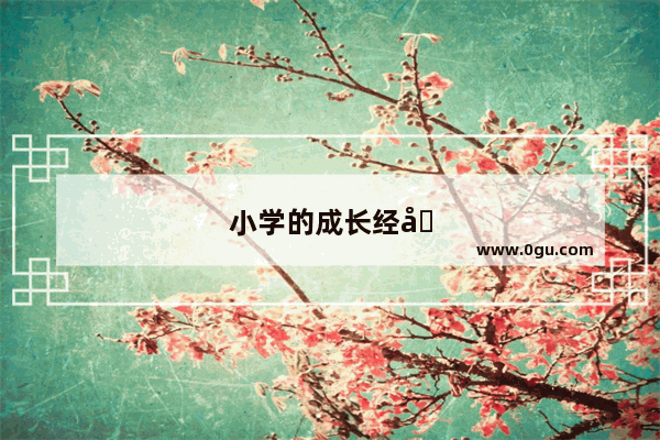 小学的成长经历英语作文怎么写