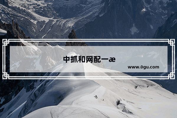 中抓和网配一样吗