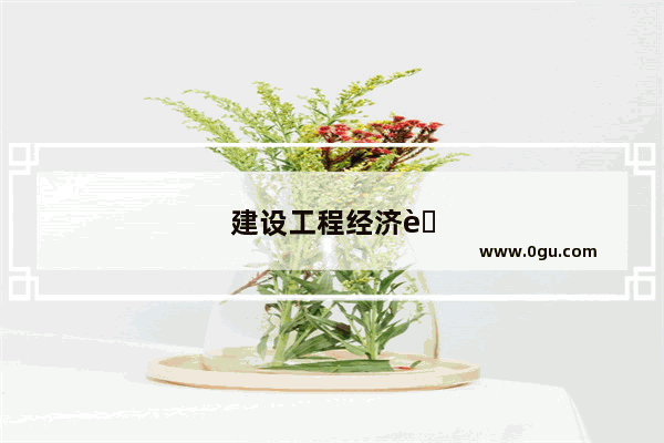 建设工程经济英文