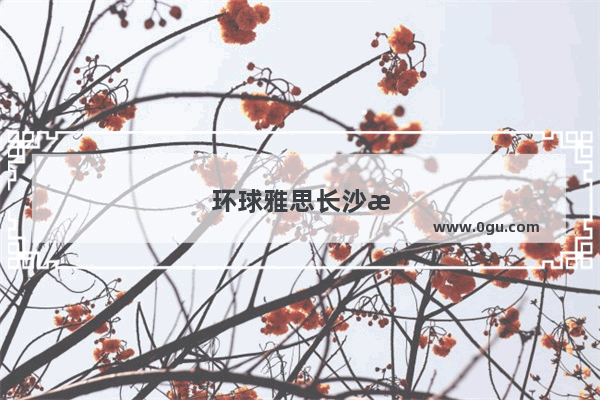环球雅思长沙校区地址