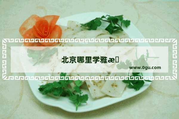 北京哪里学雅思比较好一点