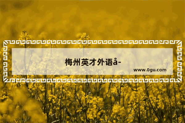 梅州英才外语学校可靠吗