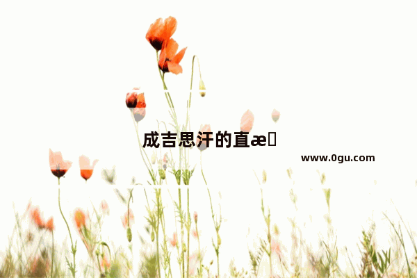 成吉思汗的直接传人是谁