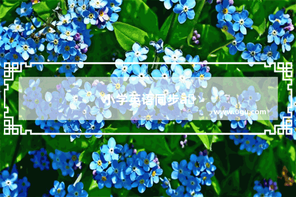 小学英语同步单元重点句型总结