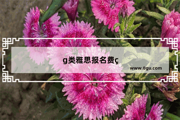 g类雅思报名费用