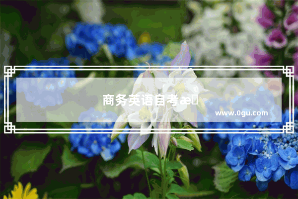 商务英语自考本科要考哪几门