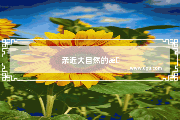 亲近大自然的搞笑说说