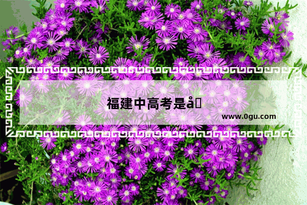福建中高考是否要人机对话