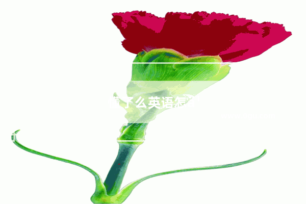 懂了么英语怎么说呢