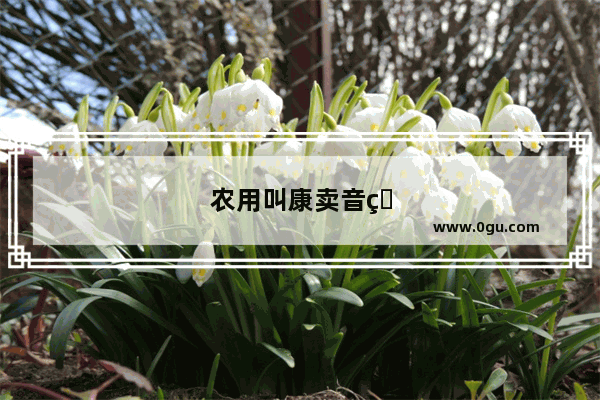 农用叫康卖音的东西学名叫什么
