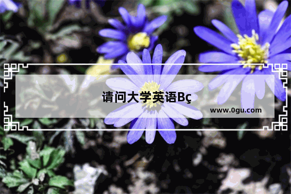 请问大学英语B级试题的分数是如何分配的