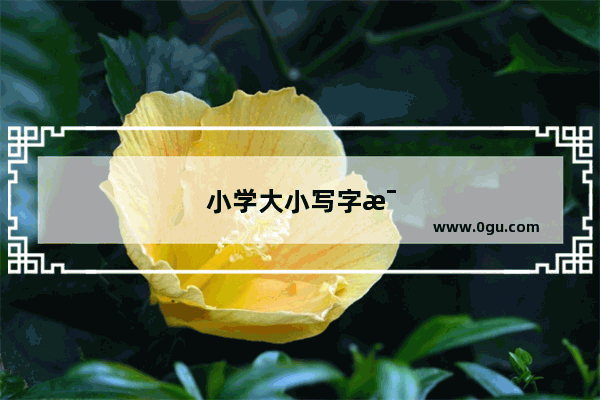 小学大小写字母读法