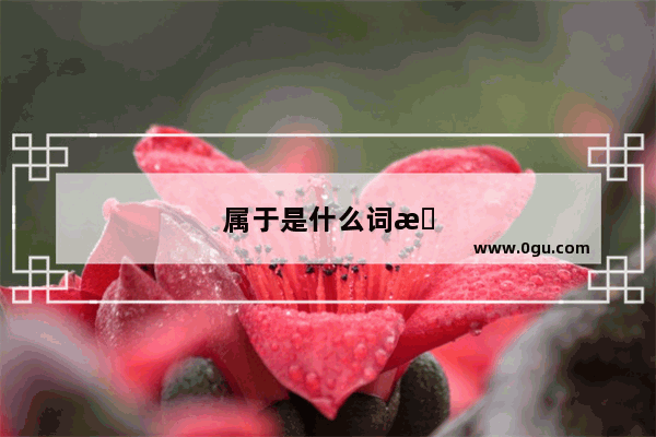 属于是什么词性