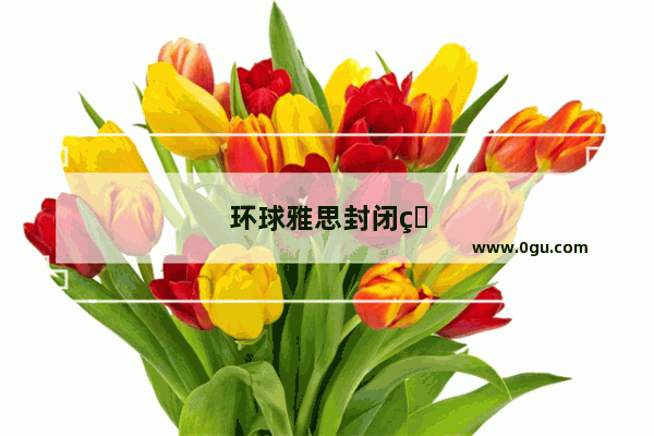 环球雅思封闭班哪些老师好一点