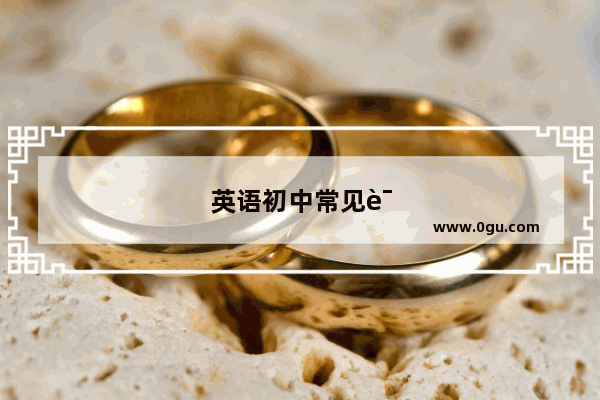 英语初中常见语法
