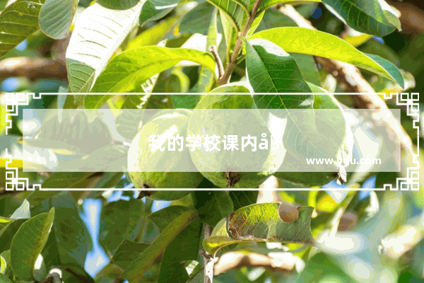 我的学校课内加分项里：英语六级两分 驾照一分！我该如何抉择