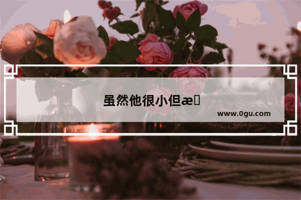 虽然他很小但是他很出色怎么用英文说