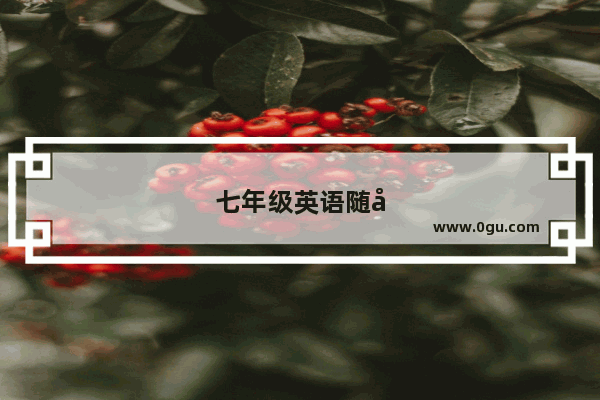 七年级英语随堂答案