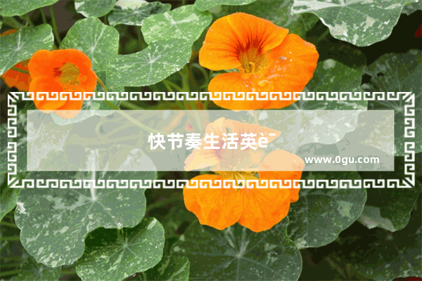 快节奏生活英语作文200