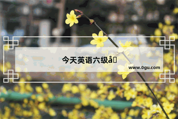 今天英语六级听力++++