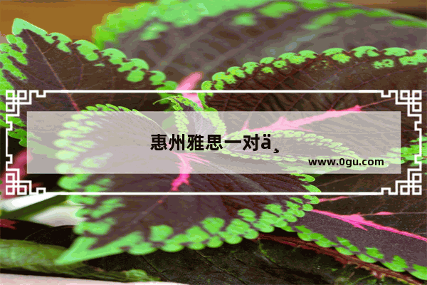 惠州雅思一对一辅导机构