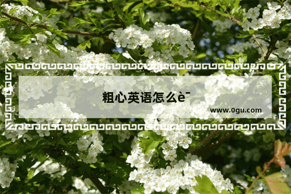 粗心英语怎么说
