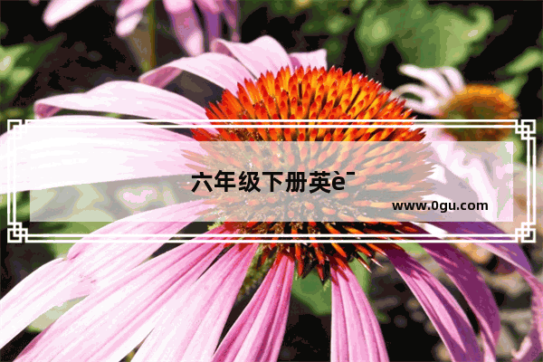 六年级下册英语的时态公式有哪些