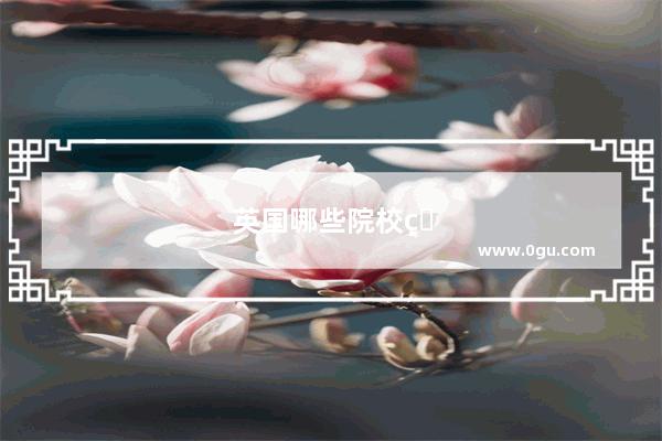 英国哪些院校的法学硕士文凭认可度更高？如何申请这些院校