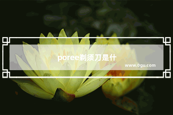 poree剃须刀是什么品牌
