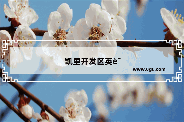 凯里开发区英语培训班哪家强