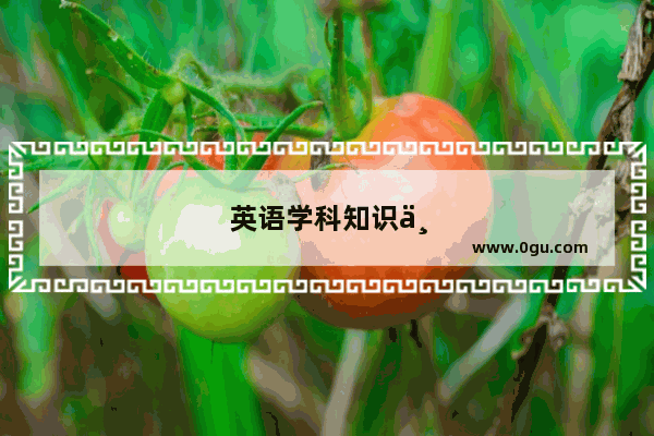 英语学科知识与教学能力