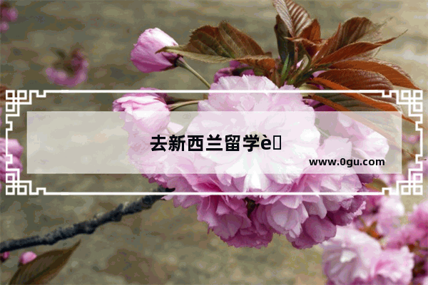 去新西兰留学考雅思还是托福