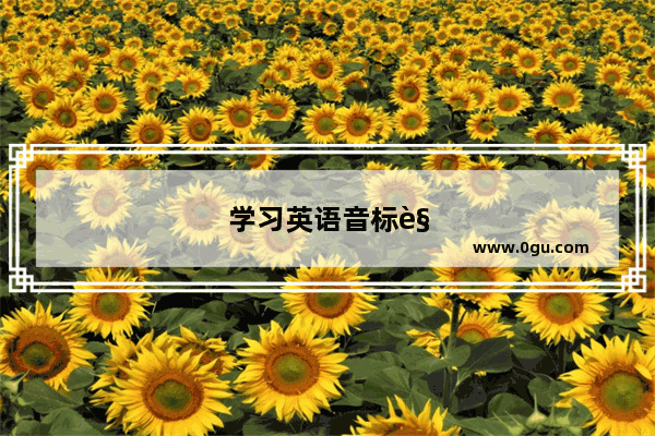 学习英语音标视频