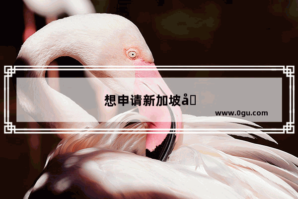 想申请新加坡国立大学博士 雅思成绩基本要求是多少